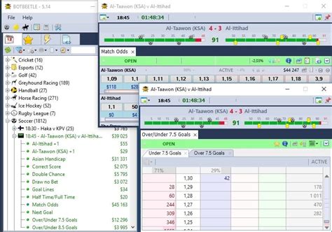 betfair trading software|BotBeetle .